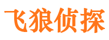 错那市调查公司